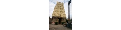 251. திருவாலங்காடு